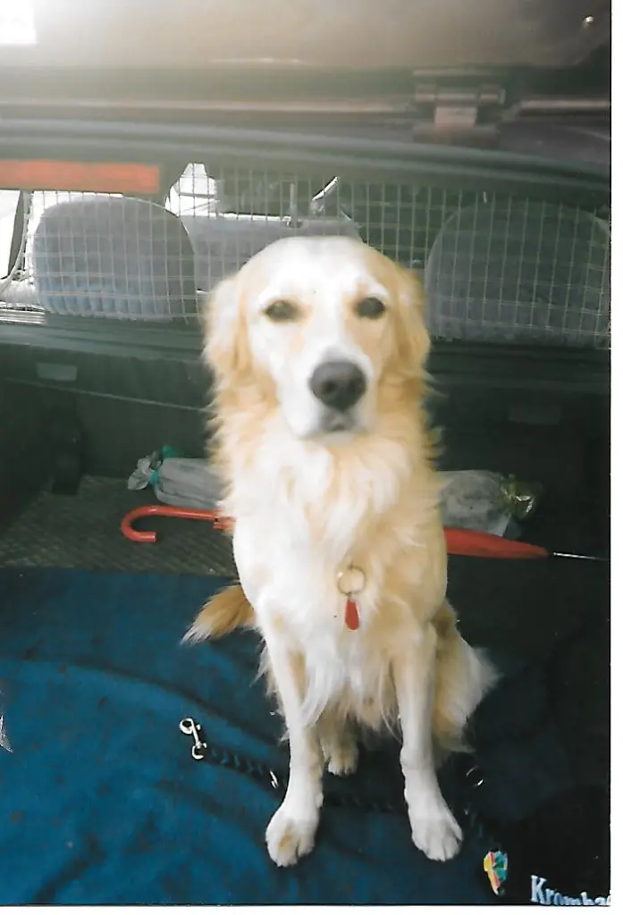 Image from Maja und Balou