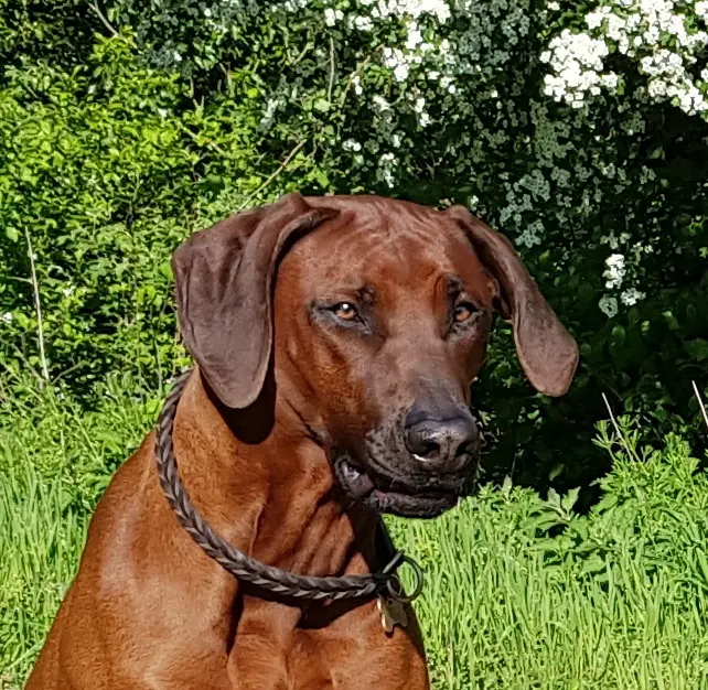 Condolence image of Martina