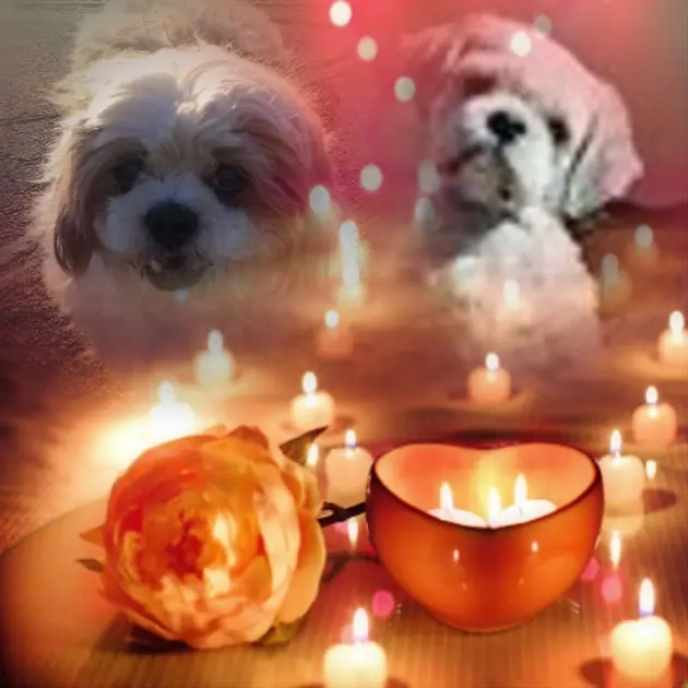 Andachtsbild von Marika mit Balou und Hippo im Herzen