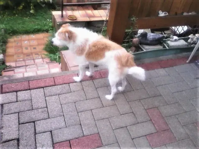 Andachtsbild von Reinhold und Frau