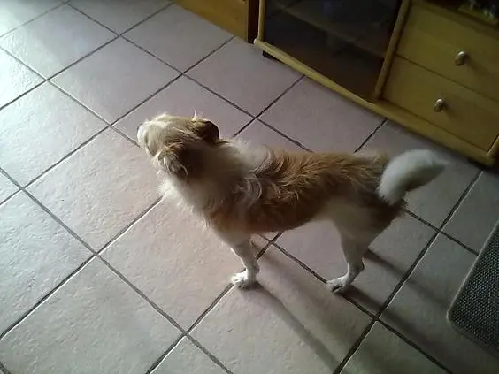 Andachtsbild von Reinhold und Frau sowie von Tommy im Regenbogenland