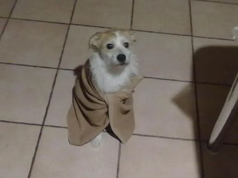 Andachtsbild von Fam. Goldmann