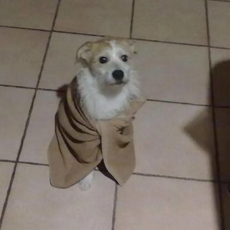 Andachtsbild von Familie Goldmann