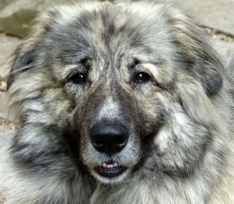 Condolence image of Unbekannt