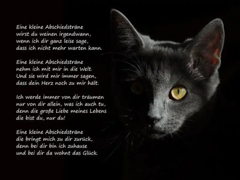 Andachtsbild von Heinz mit Lisa, Max und Kuddel im Herzen