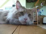 Image from Jimmy