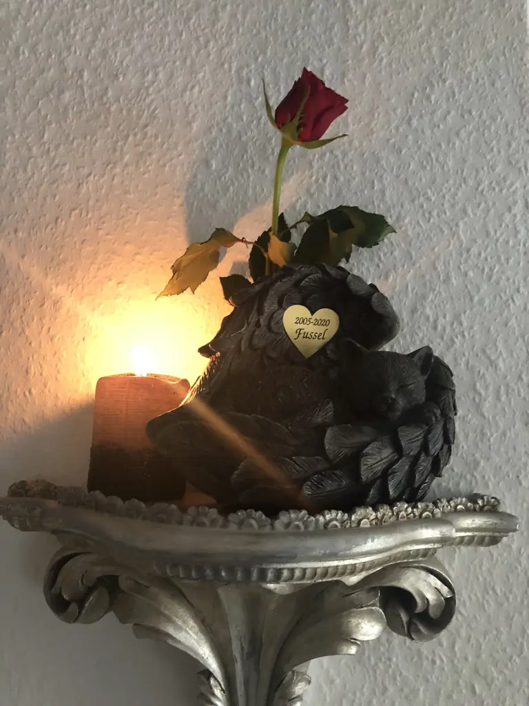Image from Fussel