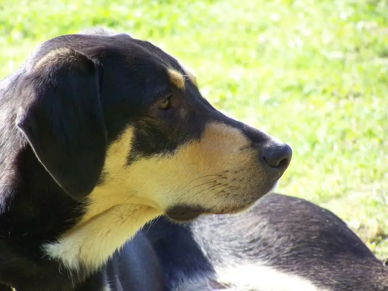 Andachtsbild von Joachim u.Marion