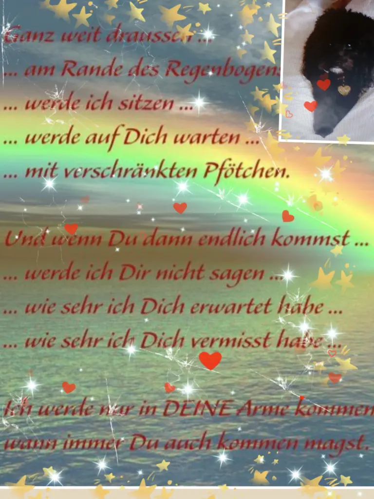 Image from Lady