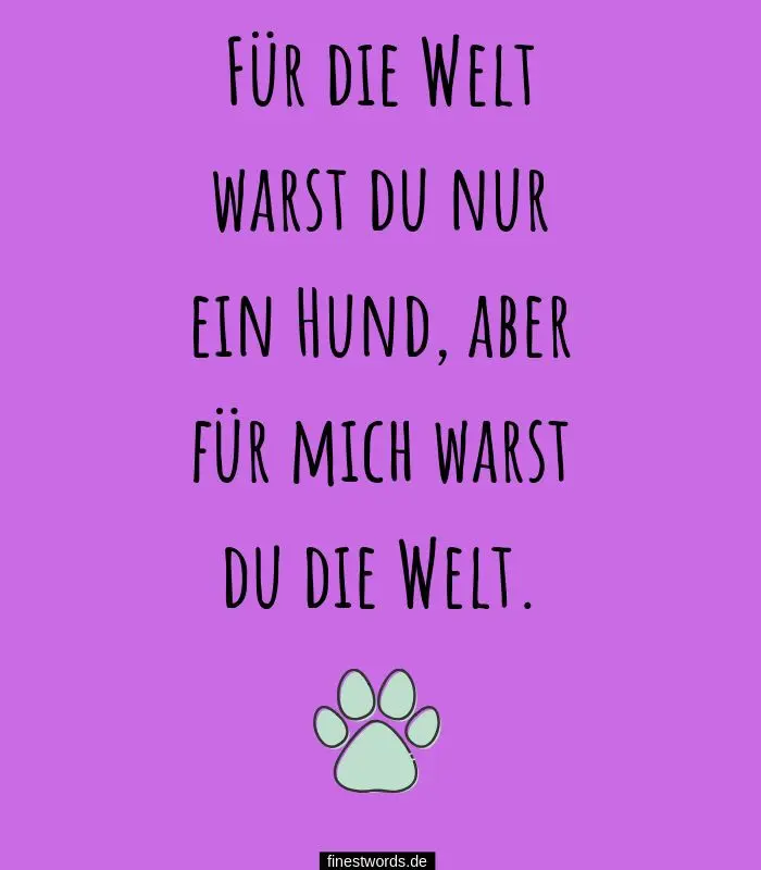 Image from Lady