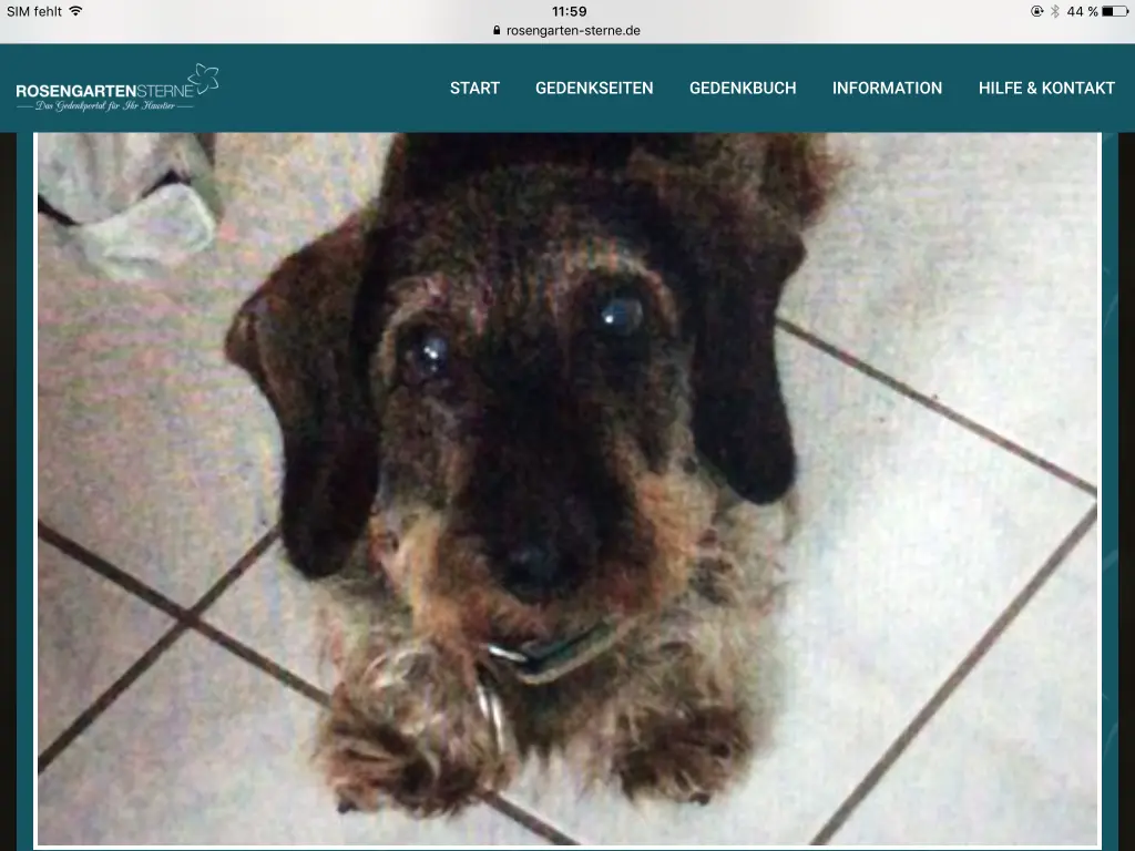 Condolence image of Carmen