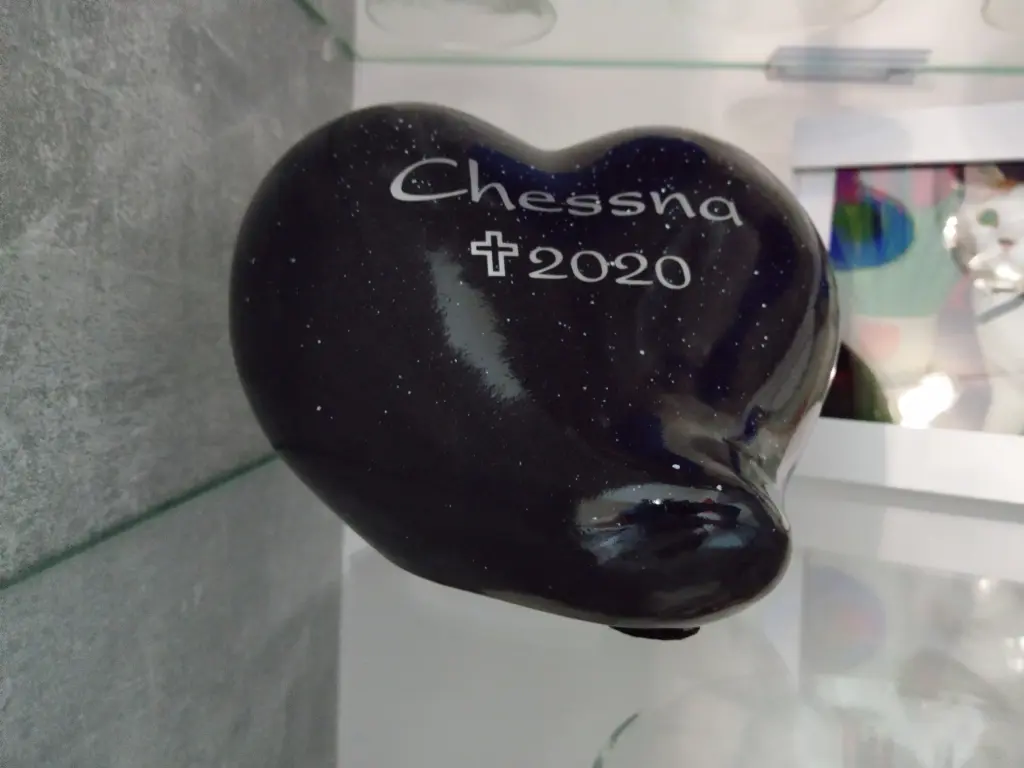 Image from Chessna
