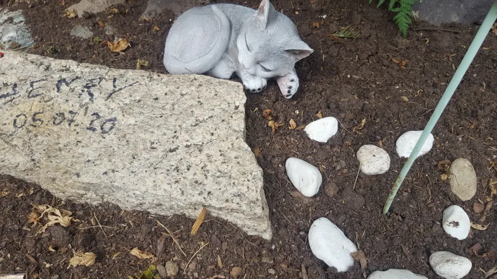 Condolence image of Barbara