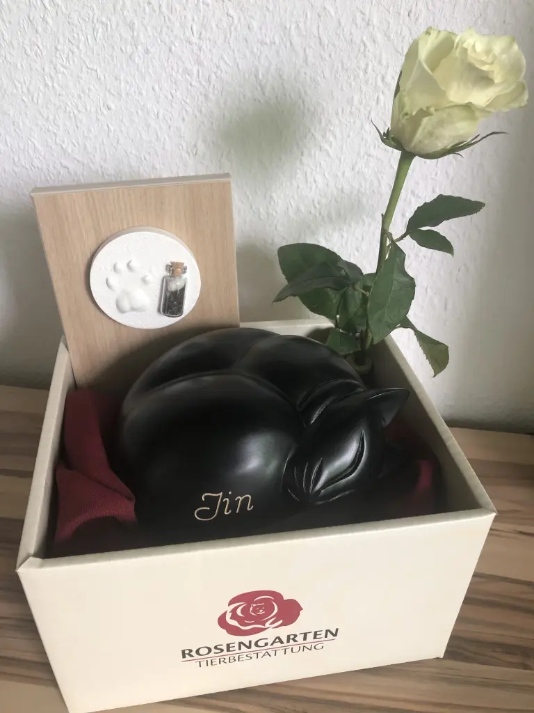 Image from Jin