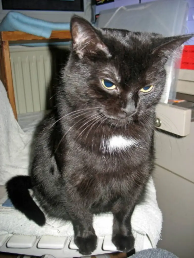 Condolence image of Laslo