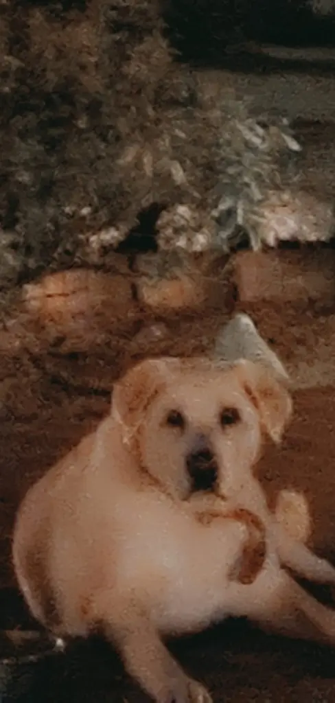 Condolence image of Annette