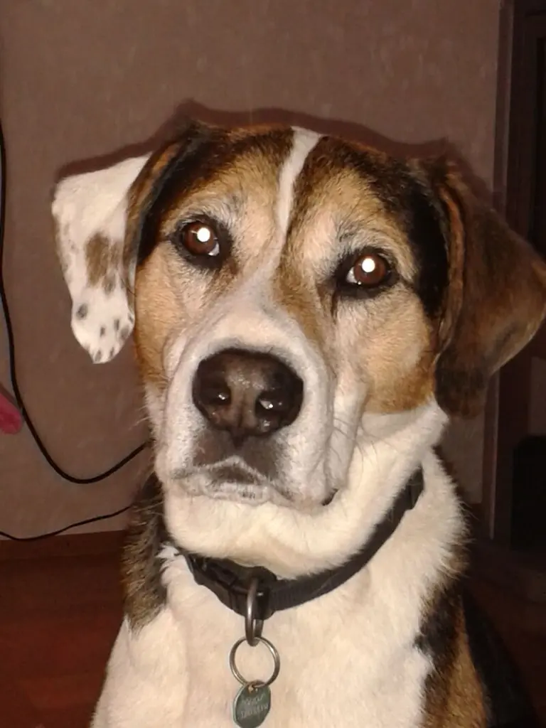 Condolence image of Katrin