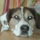 Condolence image of Katrin