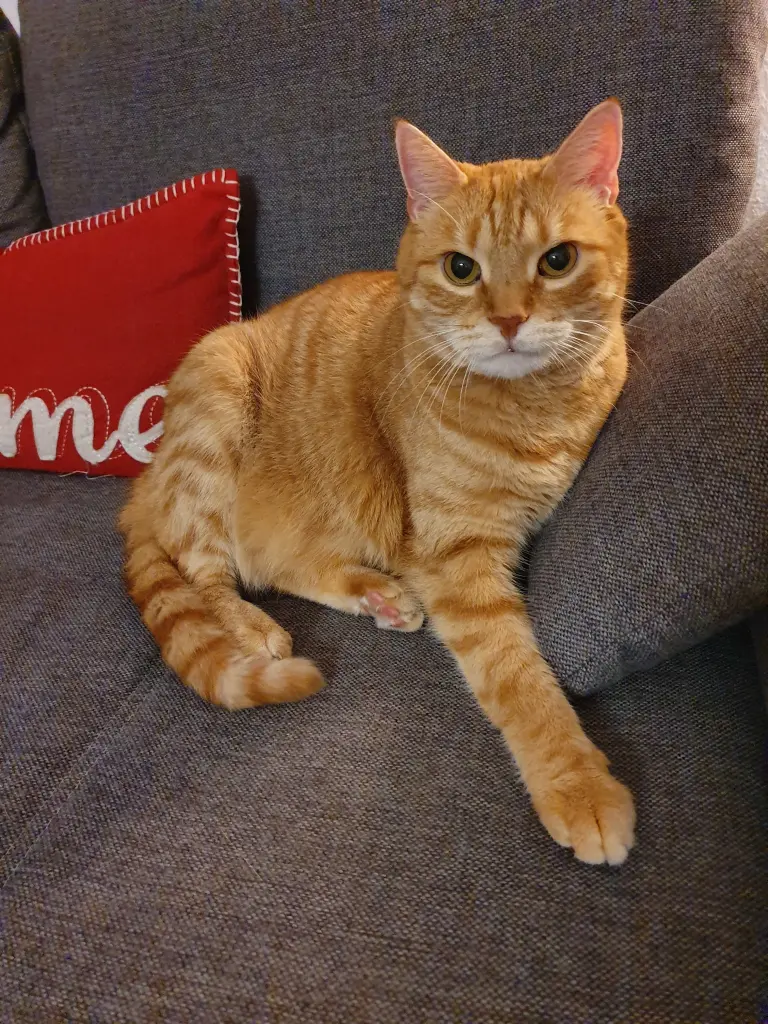 Image from Rusty
