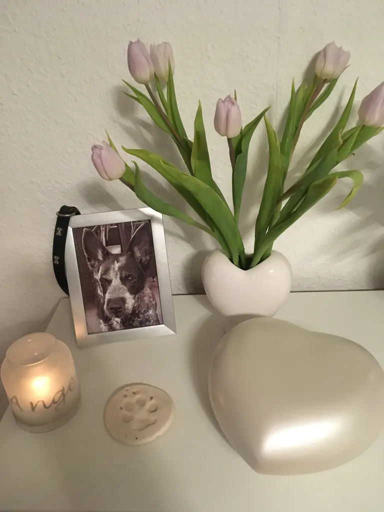 Condolence image of Andrea 