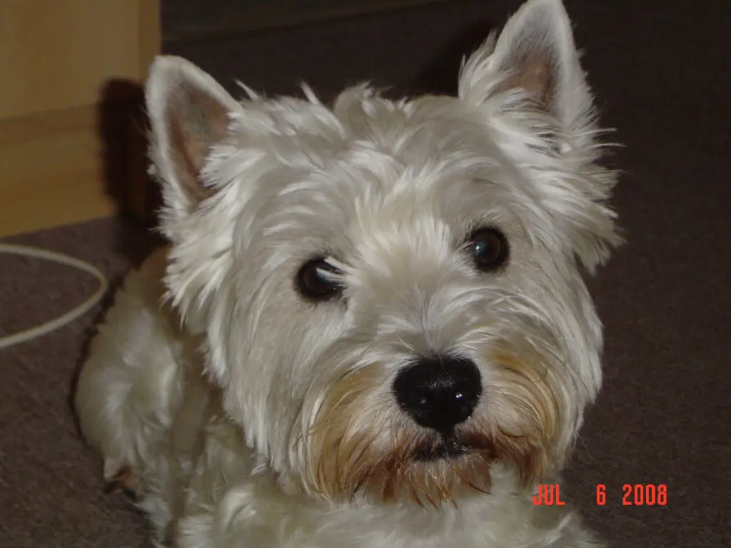 Condolence image of Familie von Kevin