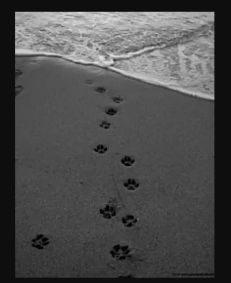 Condolence image of Unbekannt
