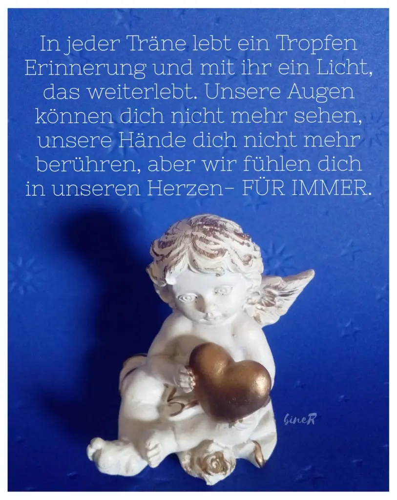 Condolence image of DEIN Frauchen