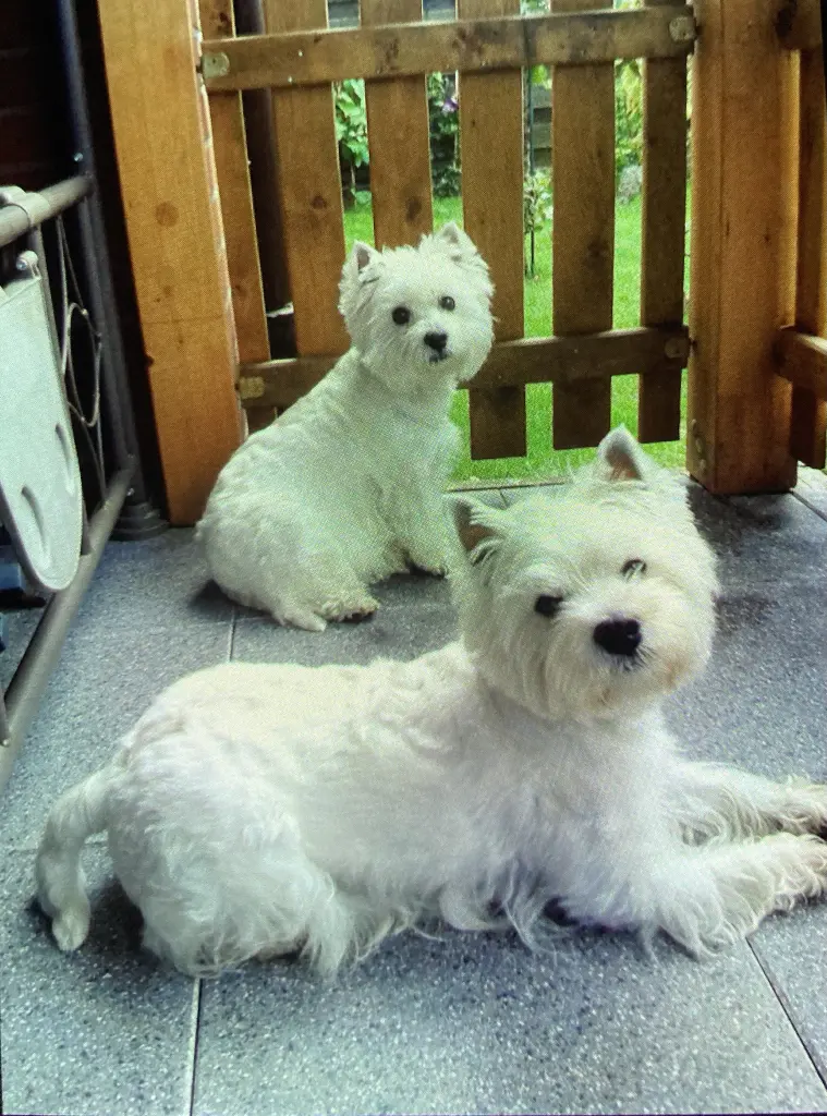 Condolence image of Lili&Lasse