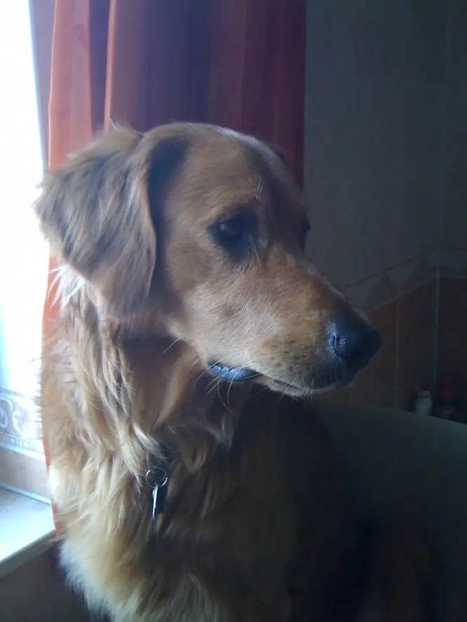 Image from Mika
