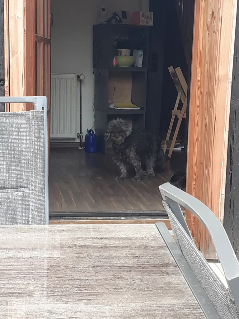 Bild von Malu