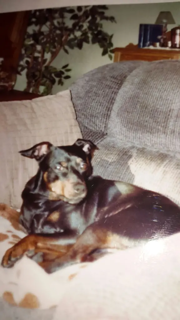 Condolence image of Marga mit Rambo im Herzen