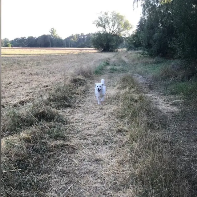 Andachtsbild von ❤️❤️❤️
