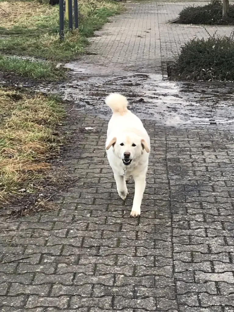 Bild von Toni