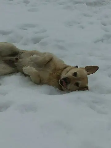 Condolence image of Claudia