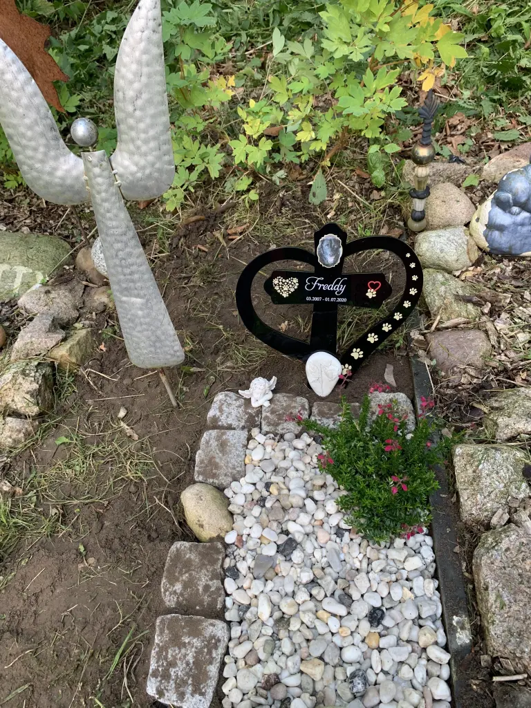 Image from Fred