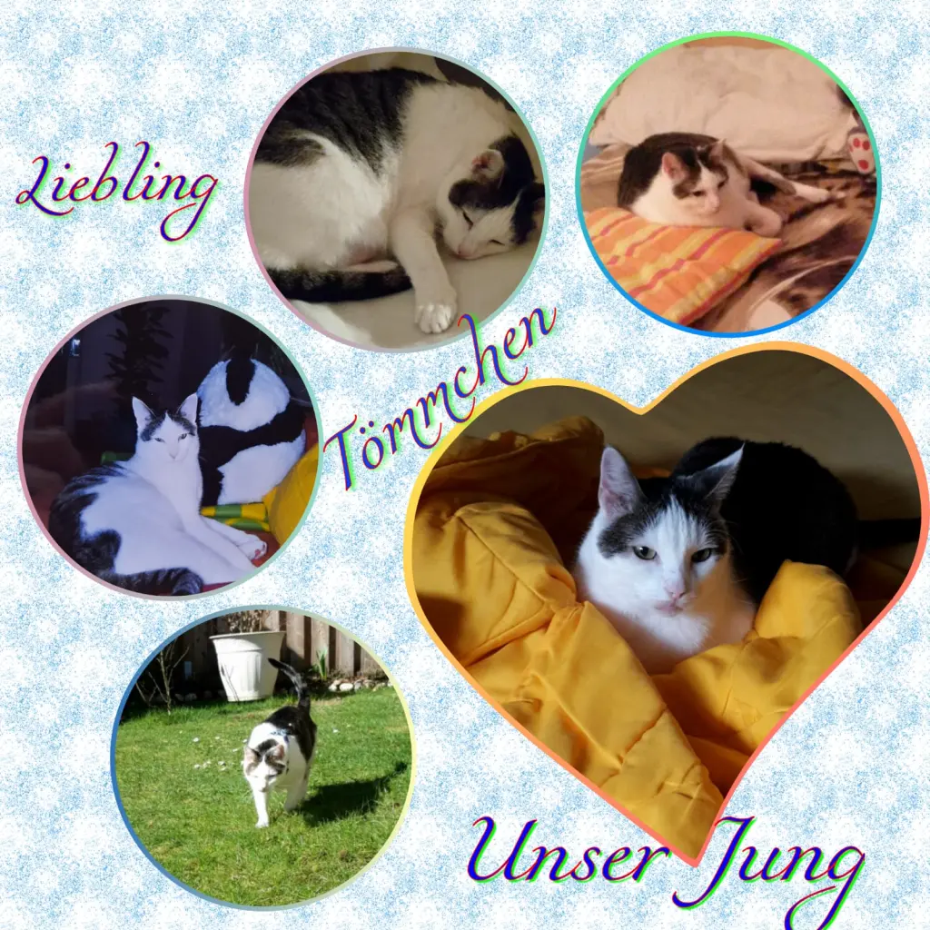 Andachtsbild von Deine Mutti Eike und Oma Edeltraud 