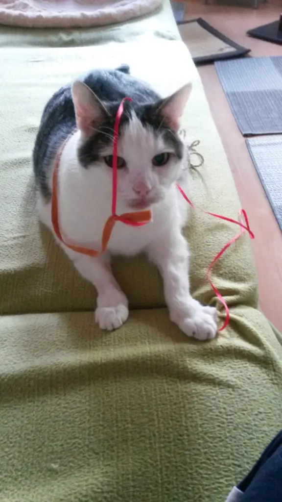 Andachtsbild von Deine Mutti Eike und Oma Edeltraud ♥️♥️