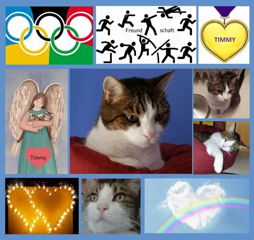 Andachtsbild von Rosen für Tommi 