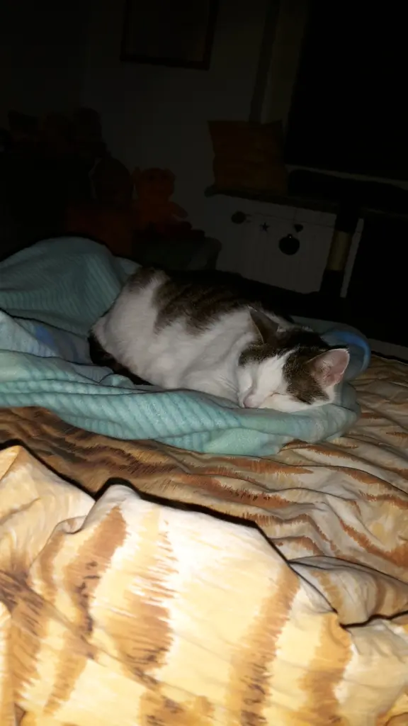 Andachtsbild von Deine Mutti und deine  Oma♥️♥️