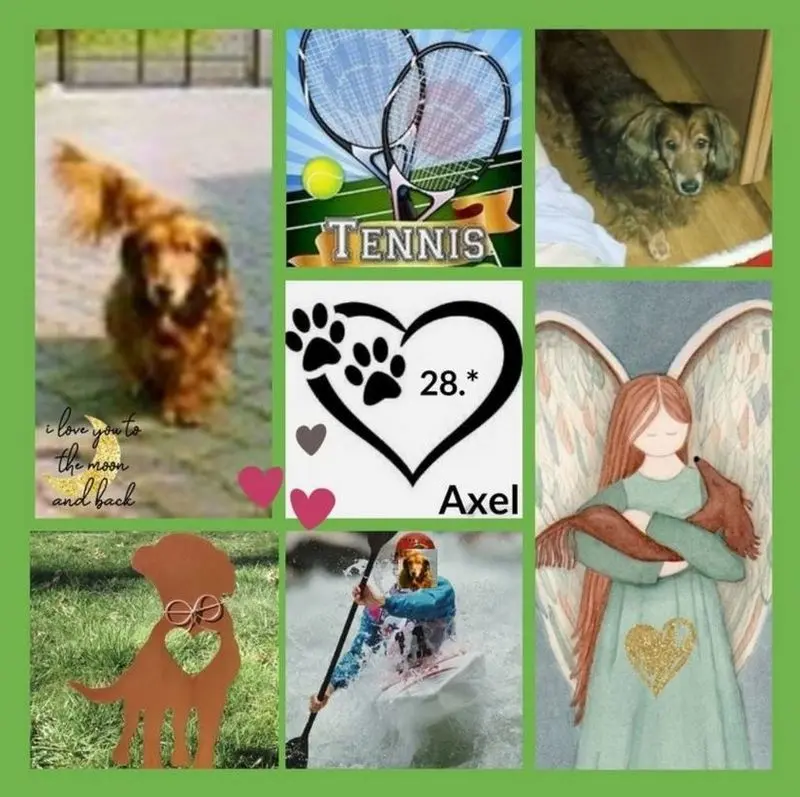 Andachtsbild von Eine Rose und eine Geschichte für Tommi 