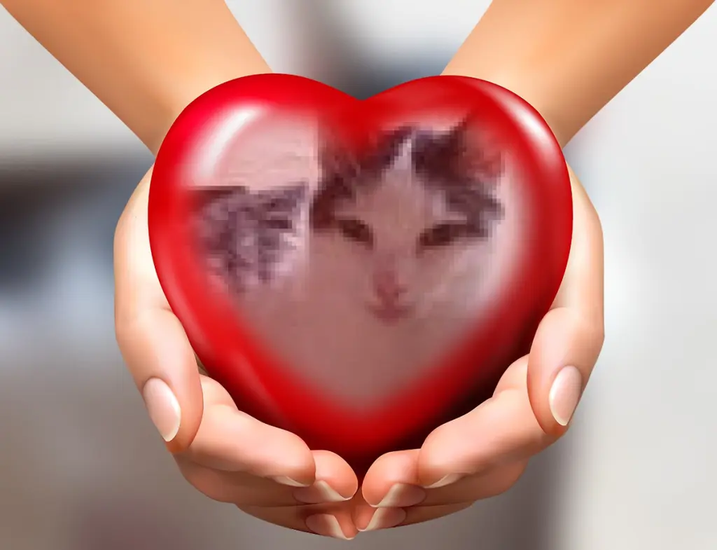 Andachtsbild von ❤️❤️❤️