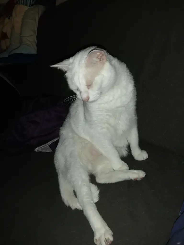 Andachtsbild von Marion