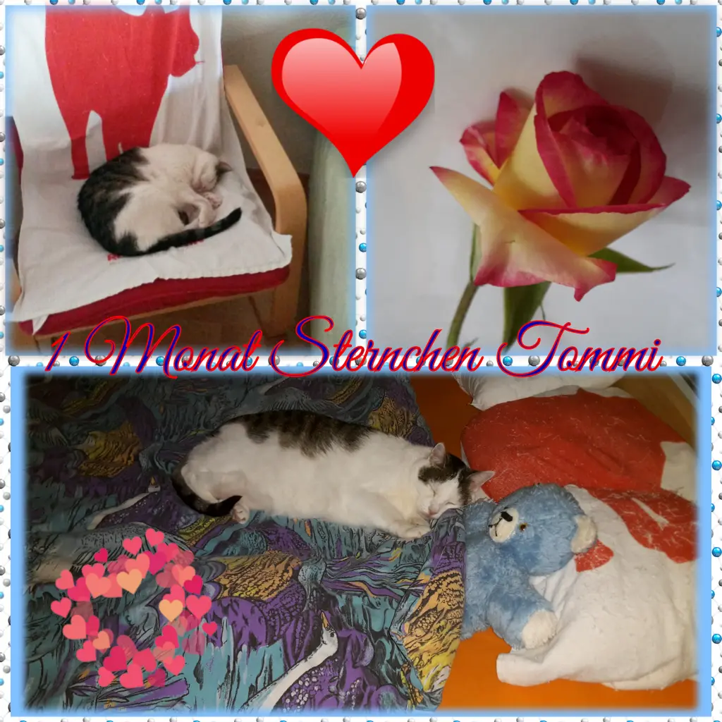 Andachtsbild von Deine Mutti Eike und Oma Edeltraud ❤❤