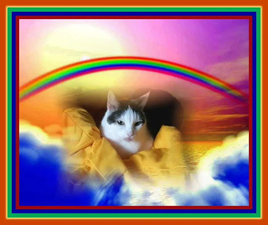 Andachtsbild von Unbekannt