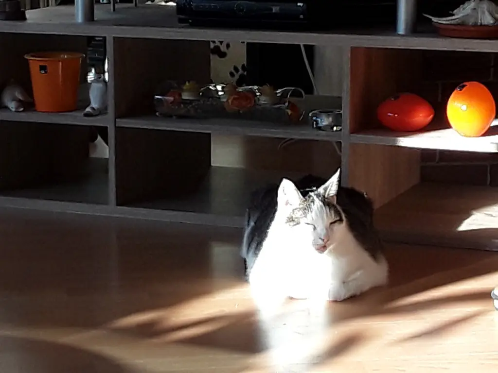 Andachtsbild von Deine Mutti und Oma ❤❤