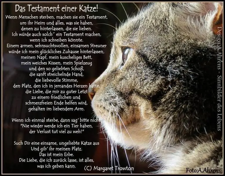 Andachtsbild von Tanja mit Timmy im Herzen