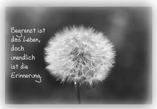 Andachtsbild von Ilse mit ihren geliebten Sternlein im Herzen