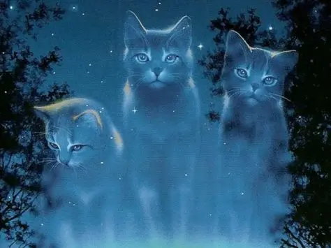 Andachtsbild von Für†3Monate†