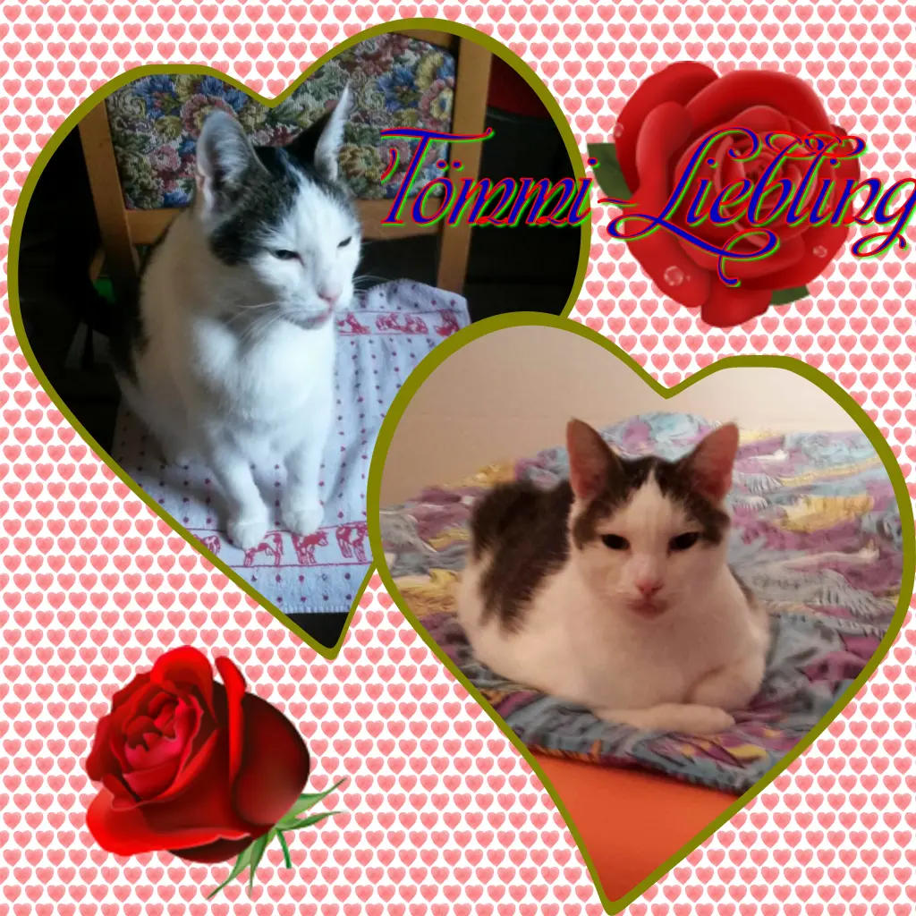 Andachtsbild von ❤Deine Mutti und deine Oma ❤