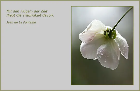 Andachtsbild von Ilse mit ihren geliebten Sternlein im Herzen